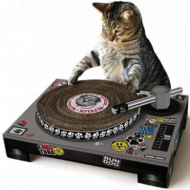 DJ Cat Scratching Deck