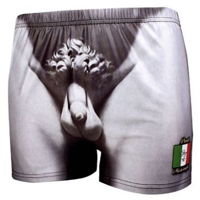 Michelangelo's David Statue Boxer Shorts